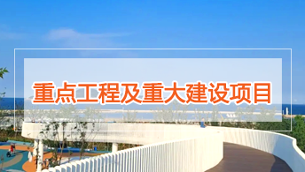 重大项目
