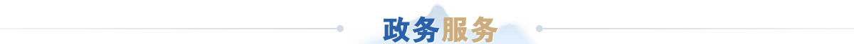 政务服务